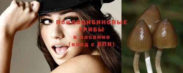 а пвп мука Иннополис