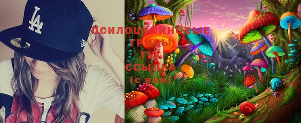 таблы Инсар