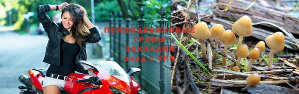 таблы Инсар