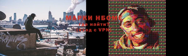 ALPHA PVP Инта
