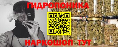 2c-b Кингисепп