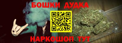 2c-b Кингисепп