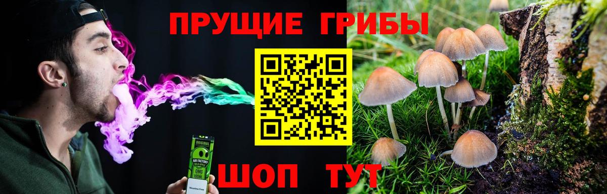 Галлюциногенные грибы GOLDEN TEACHER  Вход с VPN  цены   Ногинск 