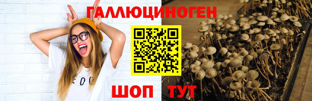 Галлюциногенные грибы Magic Shrooms Ногинск