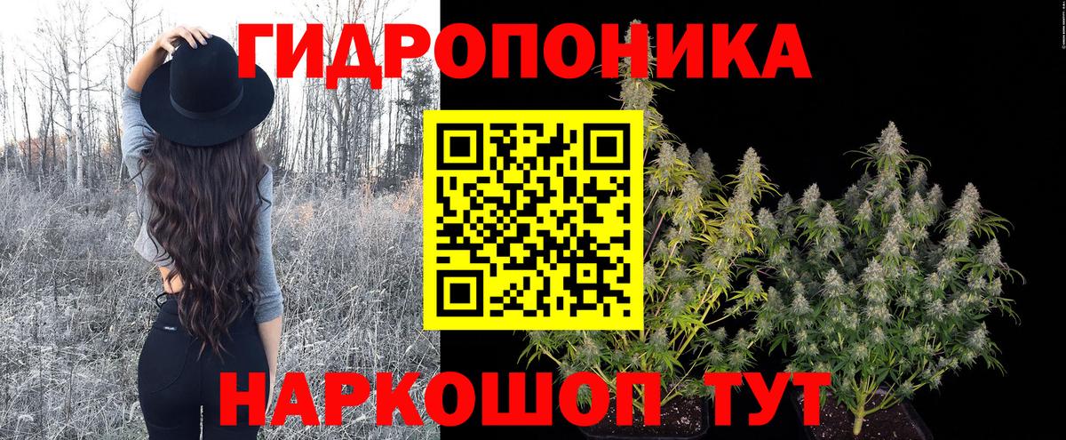 Конопля гибрид  Марихуана Bruce Banner  Бошки Шишки семена  Канабис MAZAR  Ногинск  Вход с VPN 